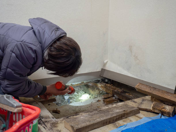 Best Crawl Space Mold Remediation  in Sutter, CA