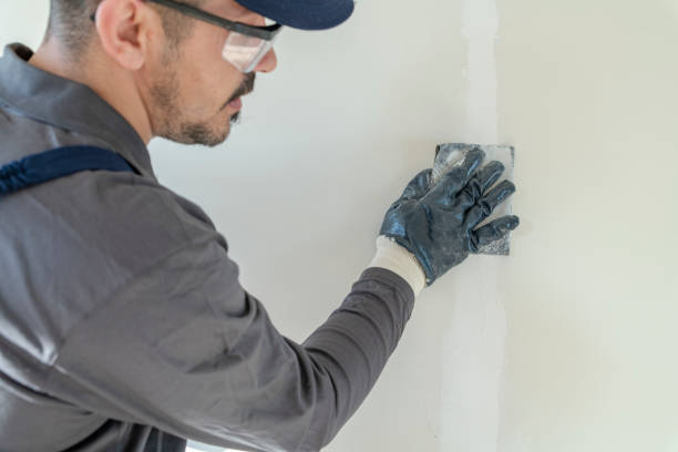 Best Attic Mold Removal  in Sutter, CA